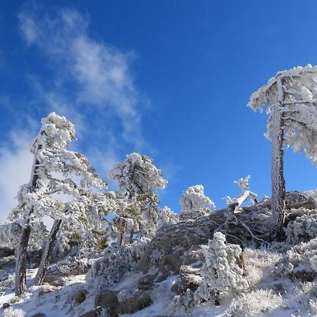 Villa Forastera Arroyo Frio Zewnętrze zdjęcie