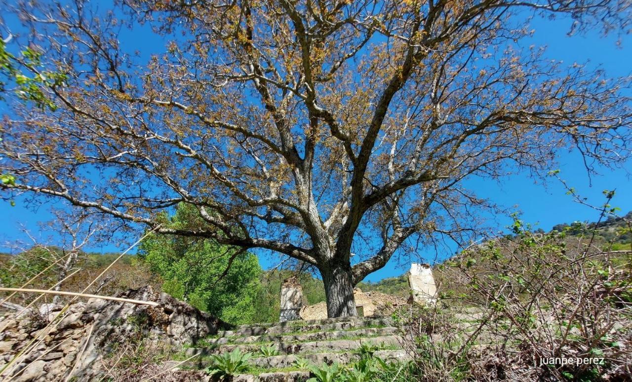 Villa Forastera Arroyo Frio Zewnętrze zdjęcie
